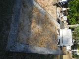 image of grave number 759850